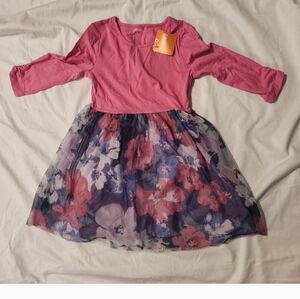 Gymboree Pink Raglan Sleeve dress